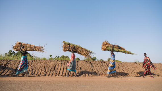 Women walk past a dyke carrying dry papyrus reeds on their heads in Rubkona town.