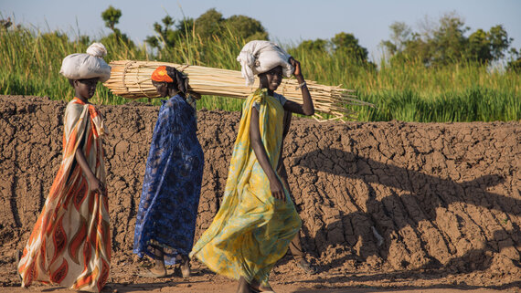 Women walk past a dyke carrying dry papyrus reeds on their heads in Rubkona town.