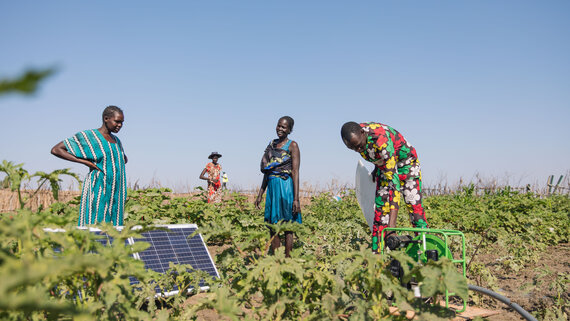 A group of women from the Tungu Luol village farmers group in Rubkona town cultivate a small patch of land using a solar panel to pump flood waters to water the crop in an attempt to fight food insecurity and generate income.